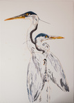 Heron